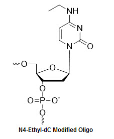 Bio-Synthesis Inc. Oligo Structure